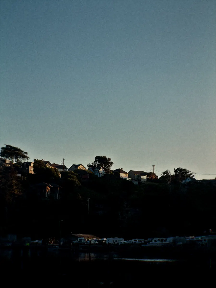 Houses along a wooded bluff above a harbour at dusk
